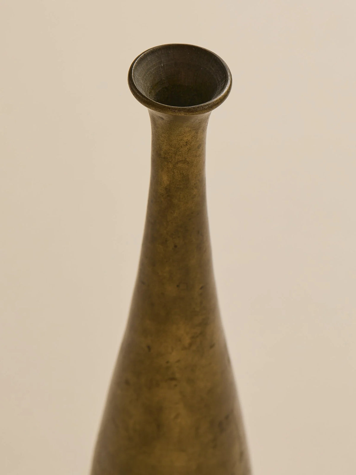 The Vintage Brass Elegant Neck VaseVasesMiscellanea, etc.