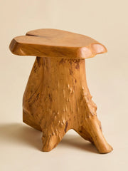 The Vintage Teak Accent StoolSeatingMiscellanea, etc.